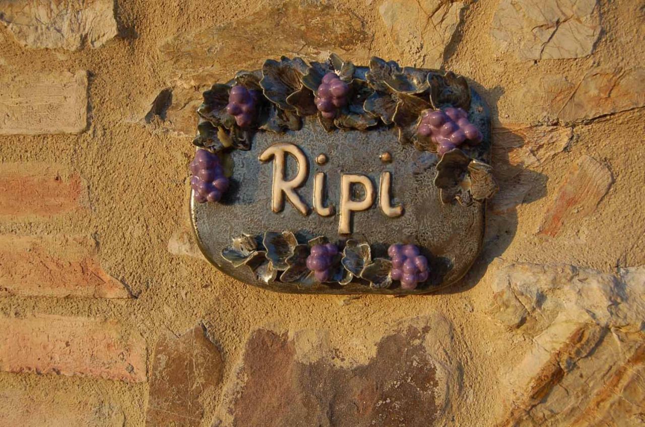Appartamento Podere Ripi