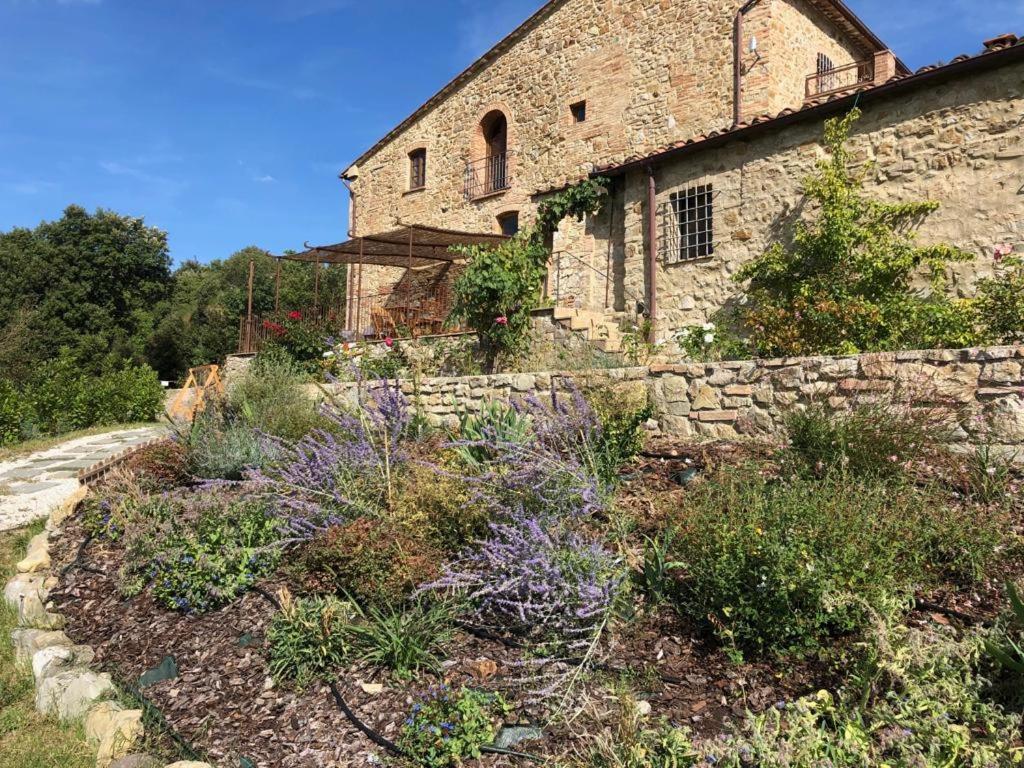Apartment Podere Ripi *