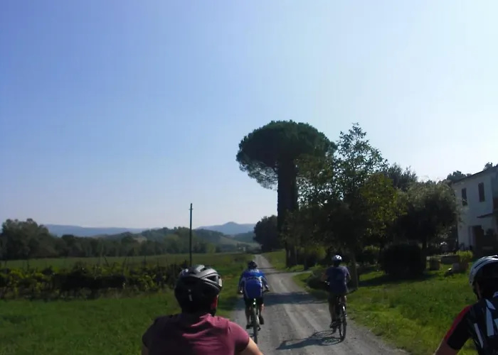Podere Ripi