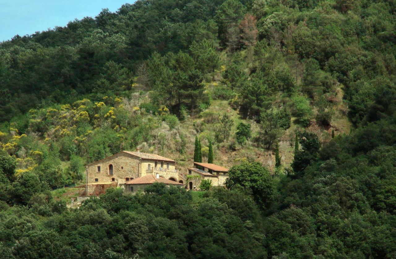 Apartment Podere Ripi *