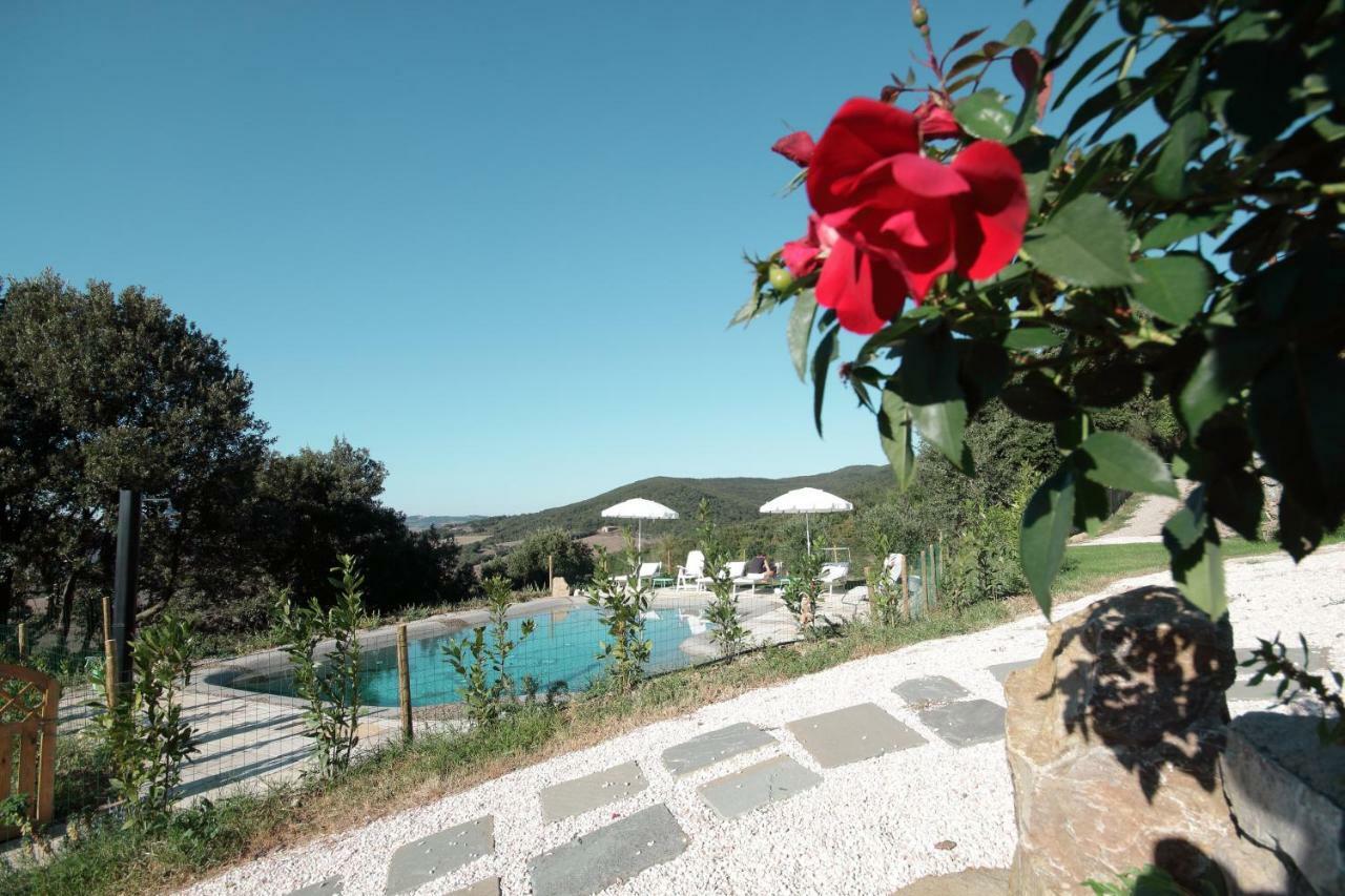 Apartment Podere Ripi