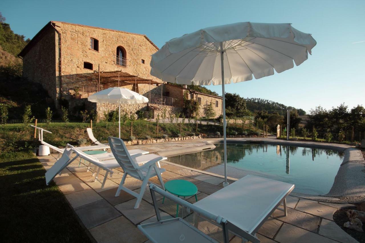 Podere Ripi Apartment
