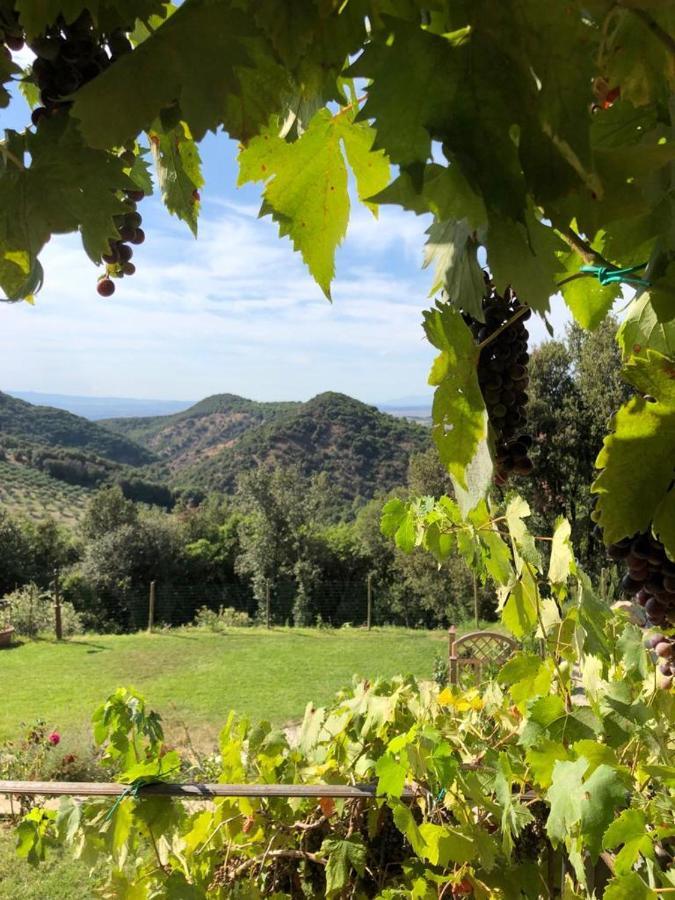 Podere Ripi *